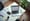 How to Set Up Payment Arrangement with IRS: A Step-by-Step Guide